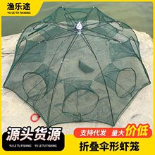 虾笼虾网折叠捕鱼工具伞笼渔网捕鱼笼抓鱼龙虾手抛网泥鳅黄鳝笼