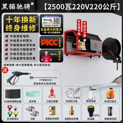 Cat High-Pressure Car Washer 220V: Car washing machine - italian-brand-pump-head-220v25kw-220kg-pressure-20m-steel-wire-pipe-automatic-pipe-retractor