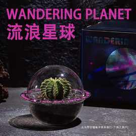 【流浪星球】仙人掌多肉绿植微景观室办公室桌面小盆栽创意礼盒