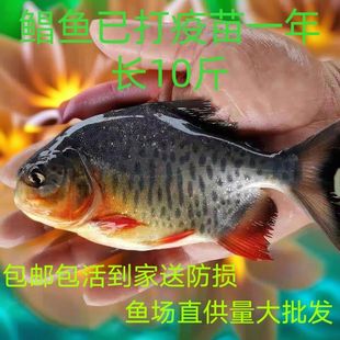 ���|��ˮ�K���K�~�^�p�~�������l�t���K�~�߮a���~���B�t�K�~�K�~