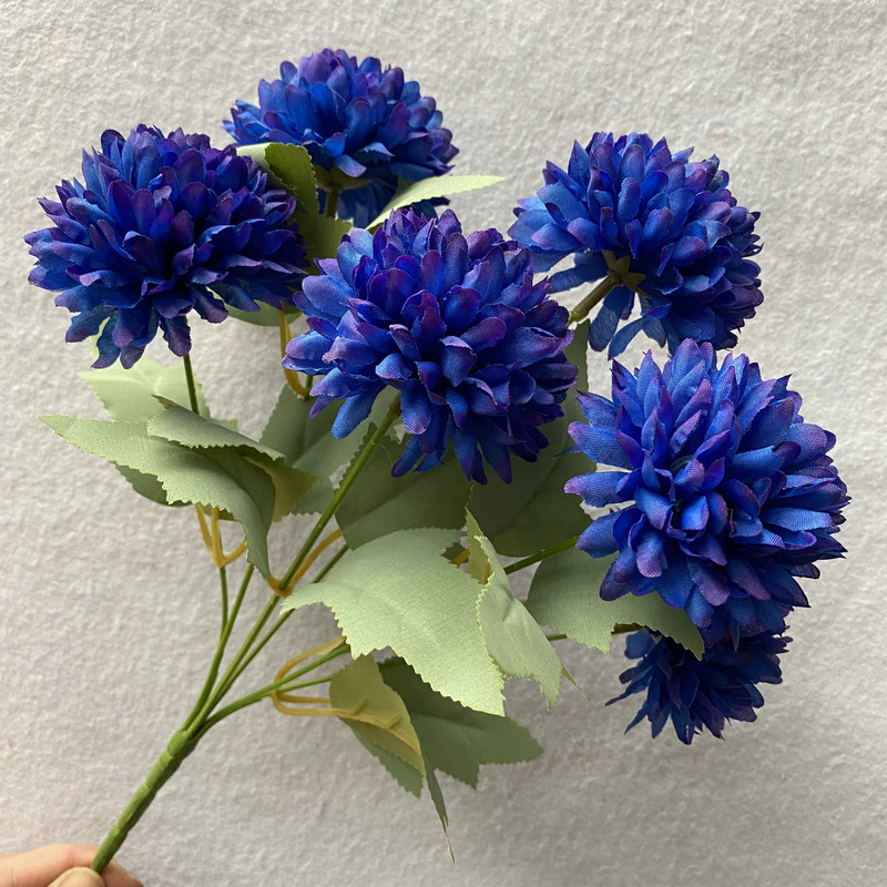 Suit Gem Orchid. JPG