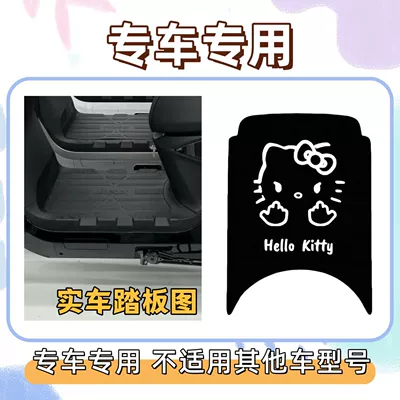 vehicles, waterproof wire mats, Electric vehicle foot mat