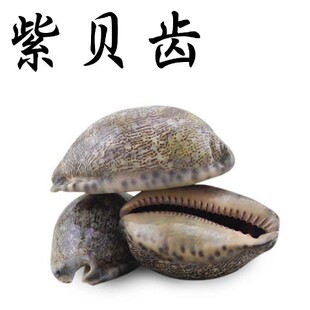 ��ș����ؐ�X ��ؐ ��ؐ ��ؐ�� �������X ��֧��