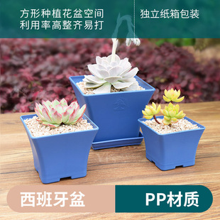 �{ɫ�����������̨�Ӻ����Ϸ������ԾGֲ���ö��⻨��ɴ��l