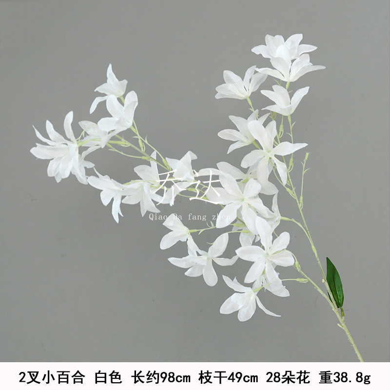 2-tenedor Lily (orquídea cabeza de Tigre)