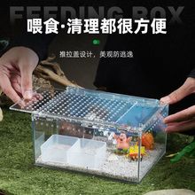 寄居蟹饲养箱盒套装恒温造景躲避水盆攀爬儿童礼物新手套餐宠物缸