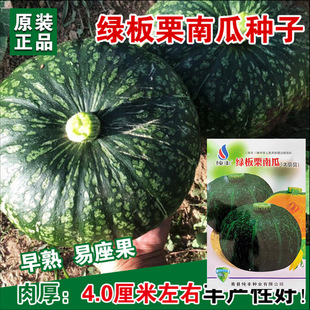 �G�����ϹϷN�����l ��ؐؐ����С�Ϲ��� �S�Ҵ������l�߲˷N��