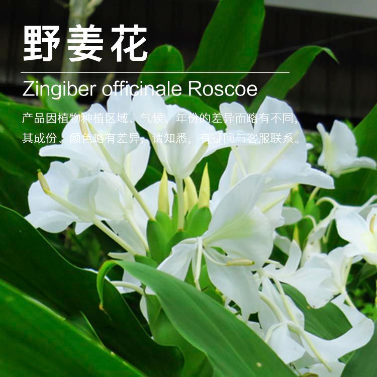 ��ӦҰ������¶  ������ȡҰ������¶ ��ӭ��ѯ������������