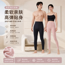 2026单彩绒秋裤男女士薄款打底修身保暖毛线打底衬裤棉毛裤秋冬季