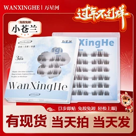 假睫毛;假睫毛镊子