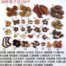 �ֹ�diy����30�N150����Ȼ��������ɹ��׃��@�h�����ϰ��Ĕz����