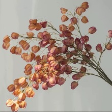 ɻ\ٻ滨[Obߙnpݷˇ[