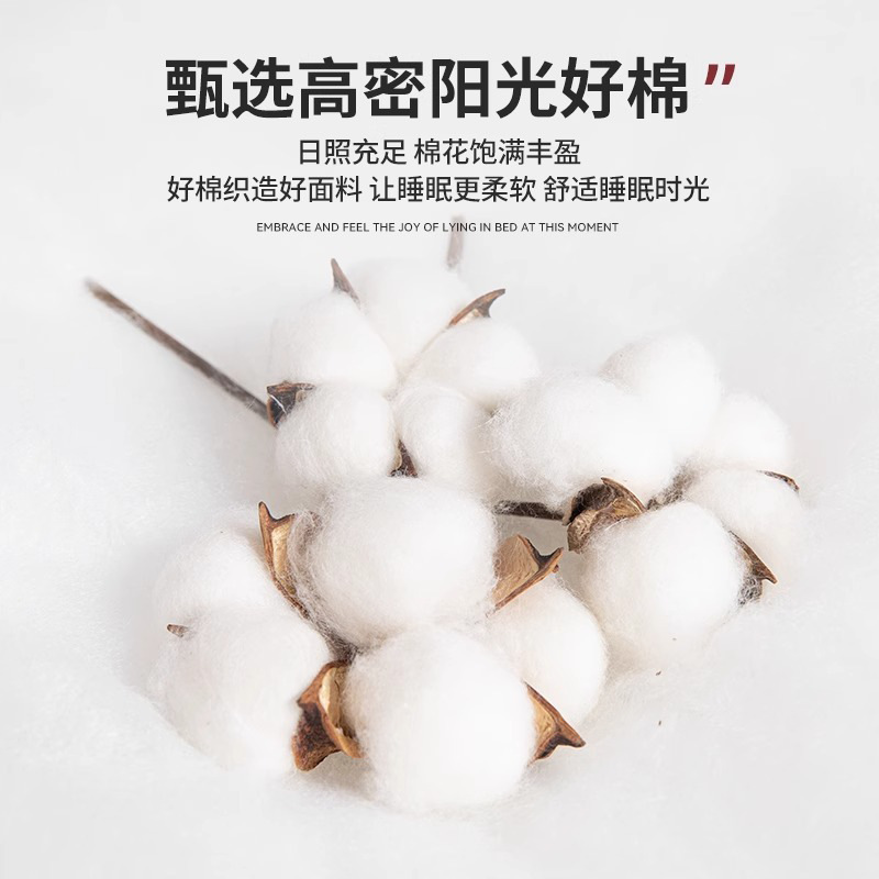 Algodón de tres piezas dormitorio estudiantil especial 100 sábanas cubierta de cama única cubierta de cama 3