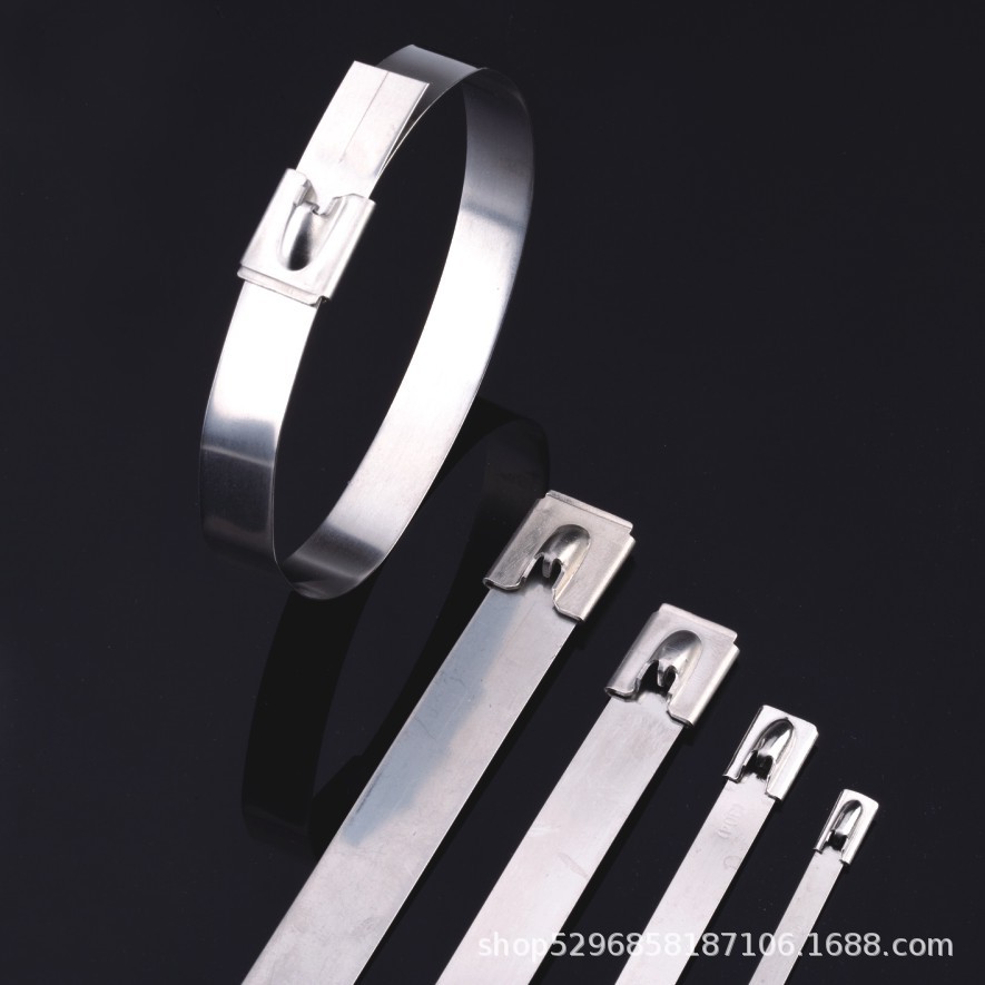 厂家直销  304/316不锈钢扎带 JZGS  滚珠自锁式G型光带 多种规格