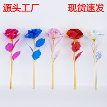 �羳��Ʒ24k�߲��Ź�𲭷���õ�廨ĸ�H����Ϧ���˹��̎�������