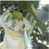 Metal fruits picking device High -altitude fruit picking device Portable fruit picking agricultural gardening tools