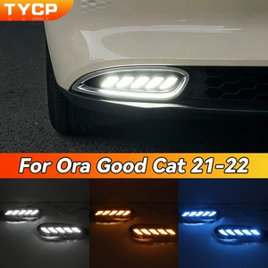 ORA Good Cat 21-22 modelləri üçün gündüz işıqları, axan dönmə siqnallı xüsusi LED