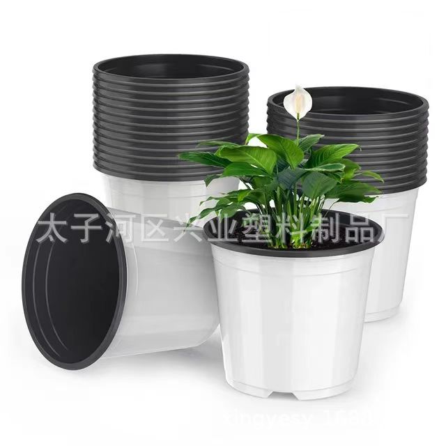 White two-color flower pots for planting seedlings and nutritional…