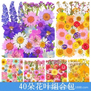 �ɻ��������ϰ� pressedflower diy���z�ɻ��Ʒ ��ͯ�ֹ� �ɻ��y