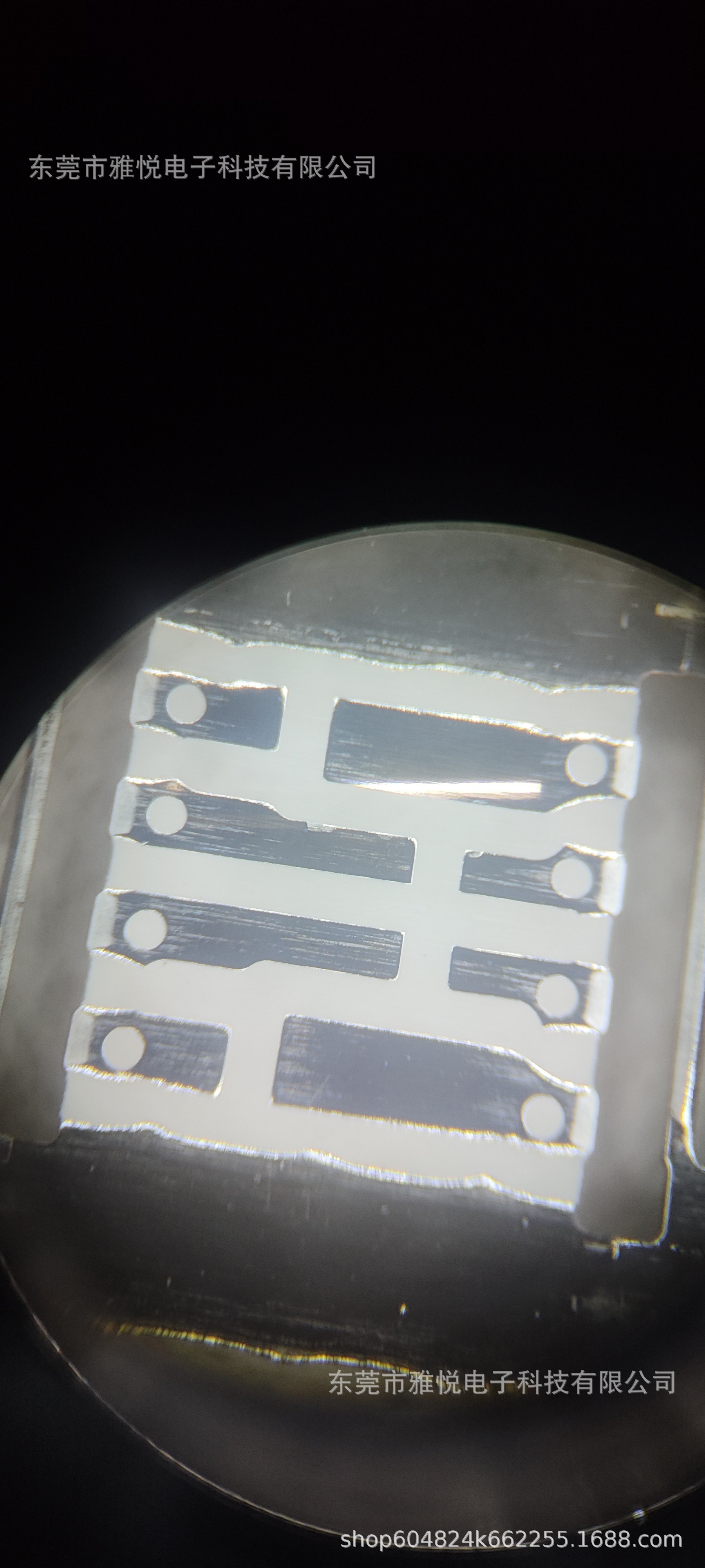 微信图片_20241017103112