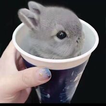 С���ӻ����٪���L��������С�͹������m�����ò豭���B������w