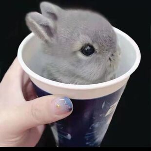 С���ӻ����٪���L��������С�͹������m�����ò豭���B������w