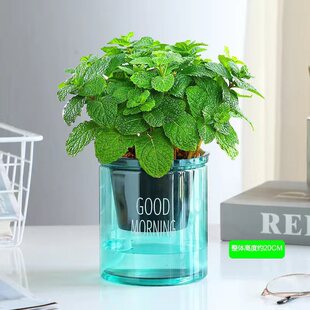 �������Կ�ʳ���ݲ��ļ�������B�׻����m�㱡���~���̨���ֲ��