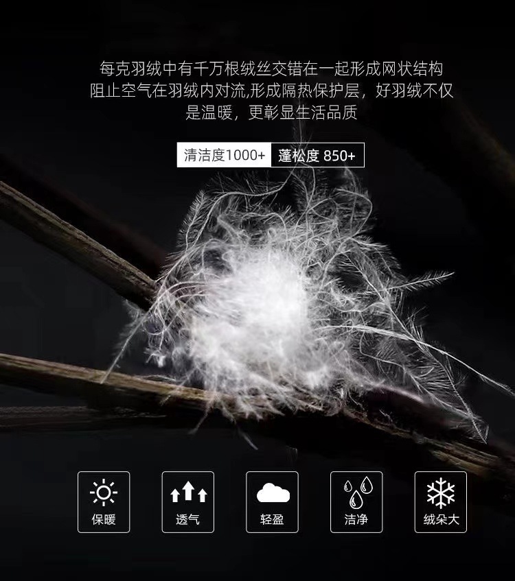 58221fd6-cf64-4d71-b5a4-8c1a2abcde00.jpe