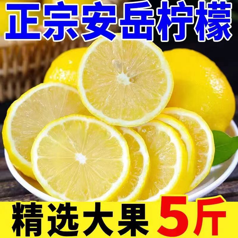 四川安岳柠檬黄新鲜水果奶茶饮品酒店专用黄柠檬批发3斤5斤9斤