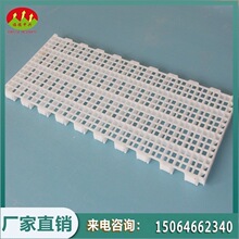 �A����������©ʺ�� �������r�W�� �Z����С�����r�W��