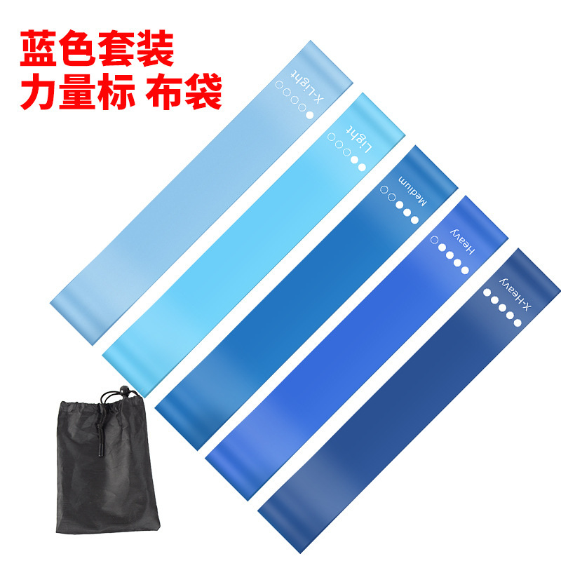 파란색 5 조각 강도 표준 천 가방 설명서