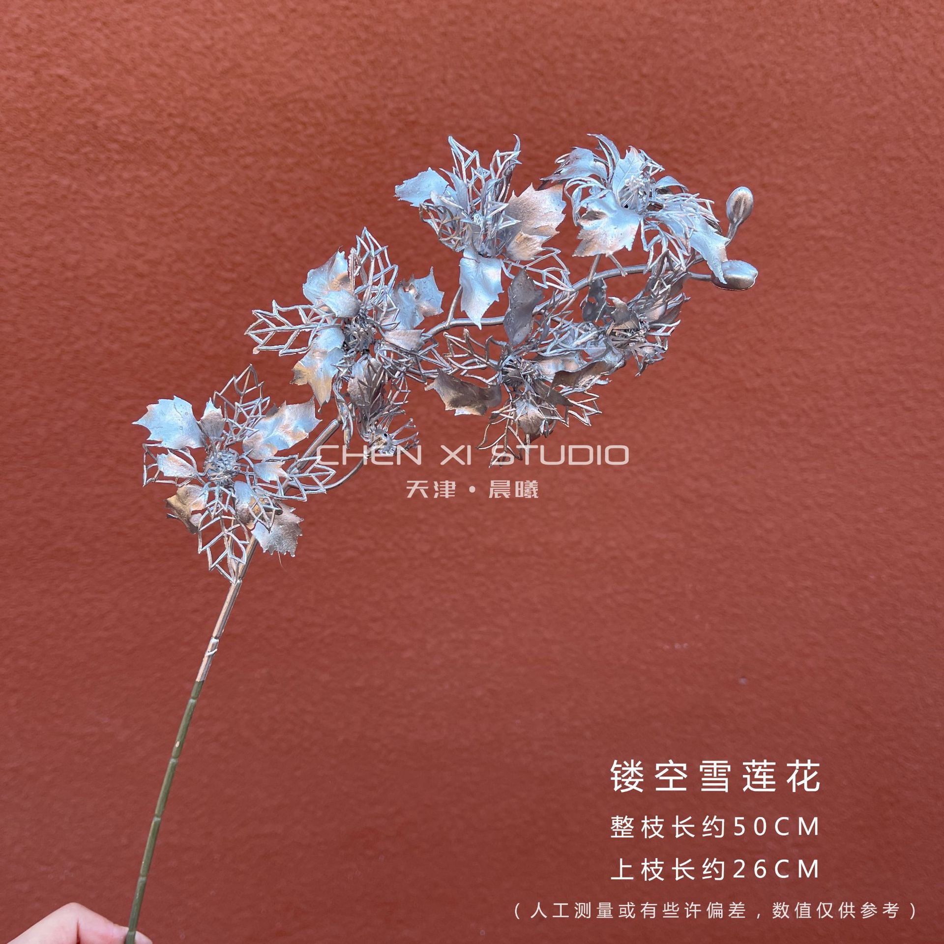 속이 빈 눈 연꽃