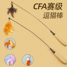 ���`؈���ِ����؈�����˽␞����䓽z��ë��Q�^��ҧ��؈��Ʒ