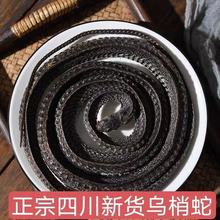 ��؛�����Ĵ����߸���ș�Ğ��������l�����I��ˮ�߸�Ҏ���Rȫ