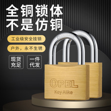 �~���i���؇���늾W늱�����i�����ͨ�_���i���_̖ͬȫ�~���i