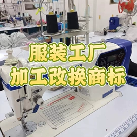 连衣裙;半身裙;女式衬衫