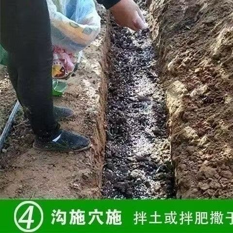 使用4