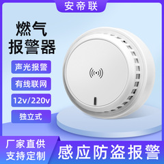 220v可燃性ガス警報器有線検出器石炭漏洩工業メーカー用消防クロスボーダー連動吸頂