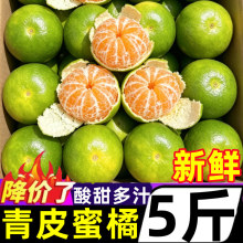 宜昌蜜橘桔子9斤早熟无籽新鲜橘子孕妇水果整箱当季青皮桔子柑橘