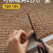 ����T�؉|2025�¿��������M�T���T���̺�_�|�ɲü��T�|���T