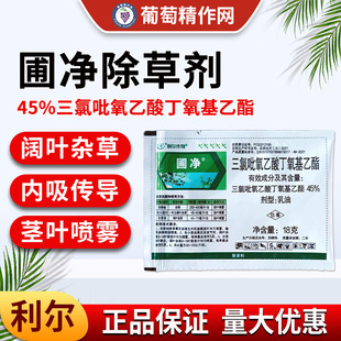 ���� �ԃ�45%�����������ᶡ����������С����������~�s�ݳ��݄�