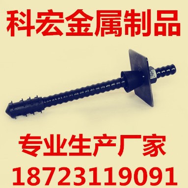 重庆四川中空注浆锚杆25球型蘑菇头螺母组合涨壳矿用锚杆垫板配件