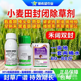 С��ѿǰ���ș ����p�� �������D������� С����ǰ���]���݄�