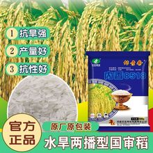 ��������8518ˮ���N��ˮ���ɲ��s���߮a�����㵾���������߮a�s��