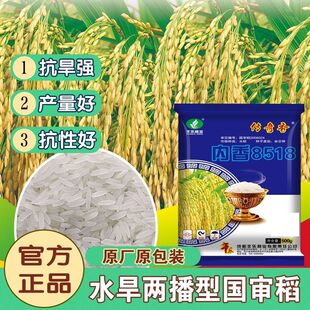 ��������8518ˮ���N��ˮ���ɲ��s���߮a�����㵾���������߮a�s��