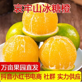 苹果;其他水果;柚