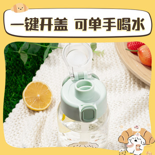 ����LL307�S�ֱ�(���w�p�)550mL(��)(1��/��)