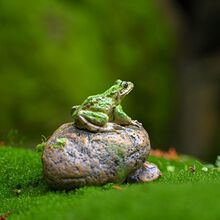 ��֬��������ſʯ�^�[���@ˇ��ɽ�����辰΢���^�쾰�����b[�O