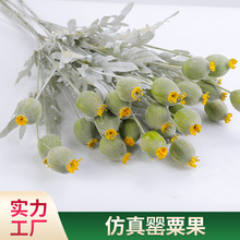 �������ڹ��ٻ��¼����羳��@�Ĕz���߼Ҿ������b�Ʒ�������ڹ�