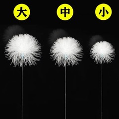 銀針のガチョウの毛の棒の中の大きいサイズの専門は耳の道具のセットを採取して使い捨てに耳の毛の暗号化の羽の棒を切ります。
